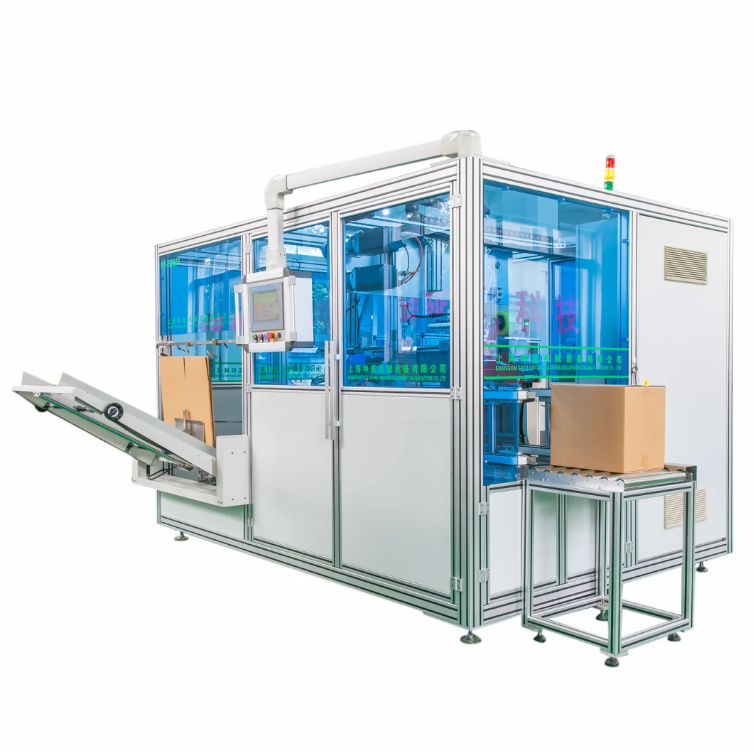 Full Automatic Carton Case Packer