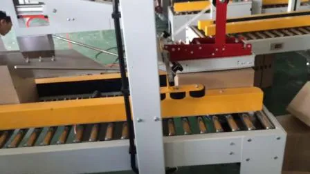 Good Quality Automatic Case Packer RPC-07